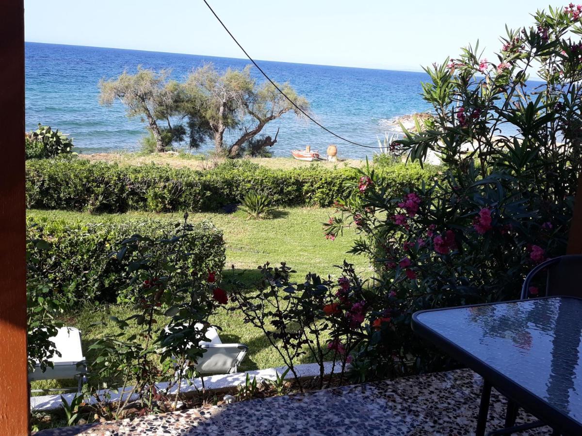Beach Bungalows Kypseli ภายนอก รูปภาพ