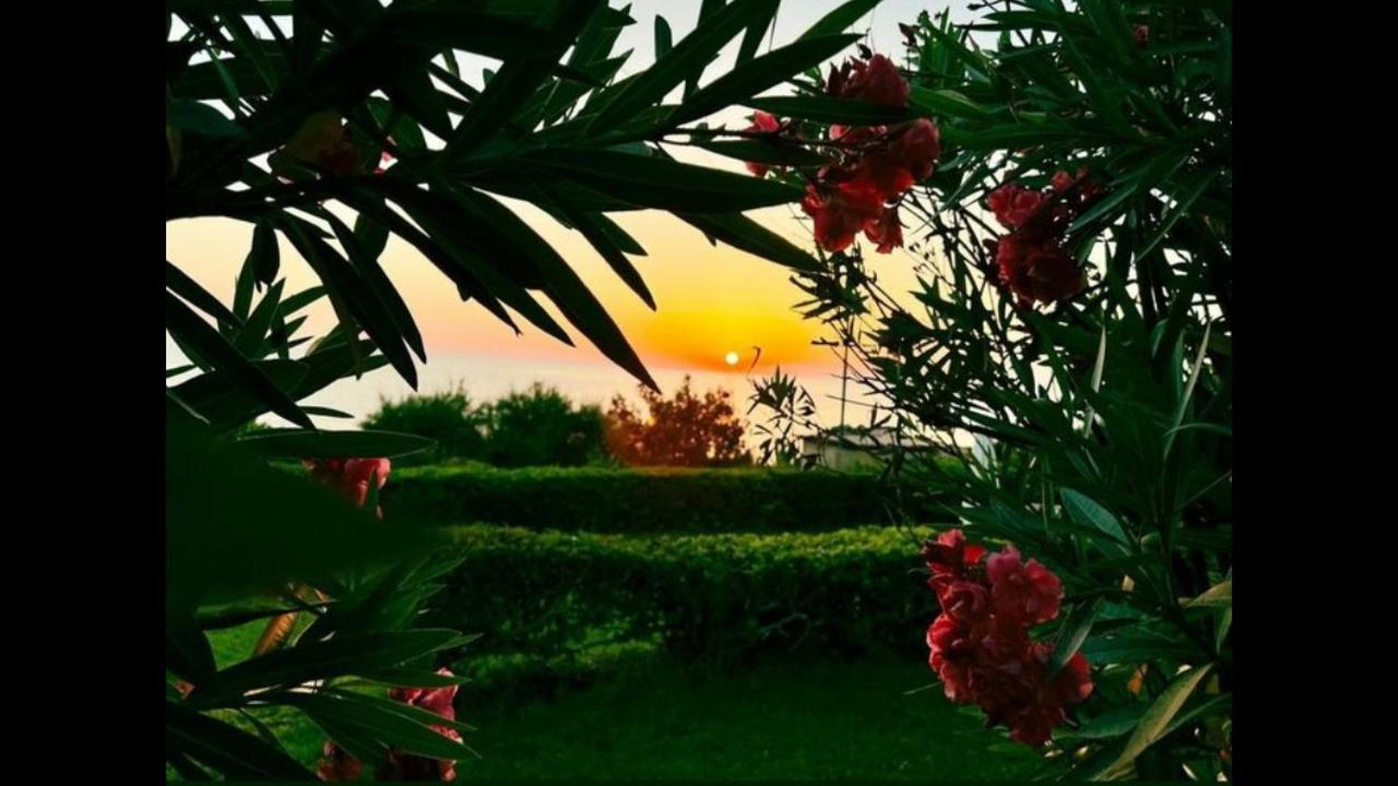 Beach Bungalows Kypseli ภายนอก รูปภาพ