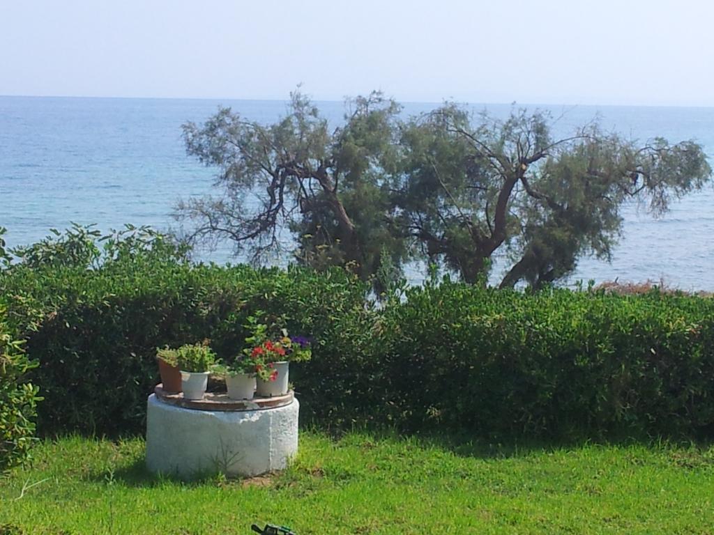 Beach Bungalows Kypseli ห้อง รูปภาพ